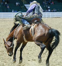 Kaycee, Wyoming Rodeo