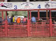 rodeo-01.jpg (67135 bytes)