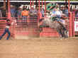 rodeo-05.jpg (71231 bytes)