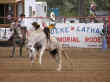 rodeo-08.jpg (52968 bytes)