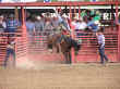 rodeo-13.jpg (65014 bytes)