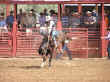 rodeo-14.jpg (70892 bytes)