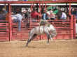 rodeo-15.jpg (75292 bytes)