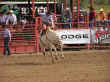 rodeo-17.jpg (72845 bytes)