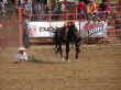 rodeo-18.jpg (68587 bytes)