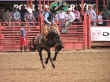 rodeo-19.jpg (74138 bytes)