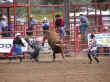 rodeo-22.jpg (66419 bytes)