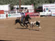 rodeo-24.jpg (68485 bytes)