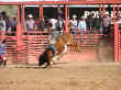 rodeo-27.jpg (71611 bytes)