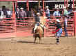 rodeo-28.jpg (78734 bytes)