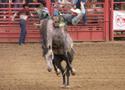 Deke Latham Memorial PRCA Rodeo