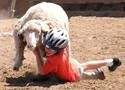 Kaycee, Wyoming Sheepherders Rodeo Photo Gallery